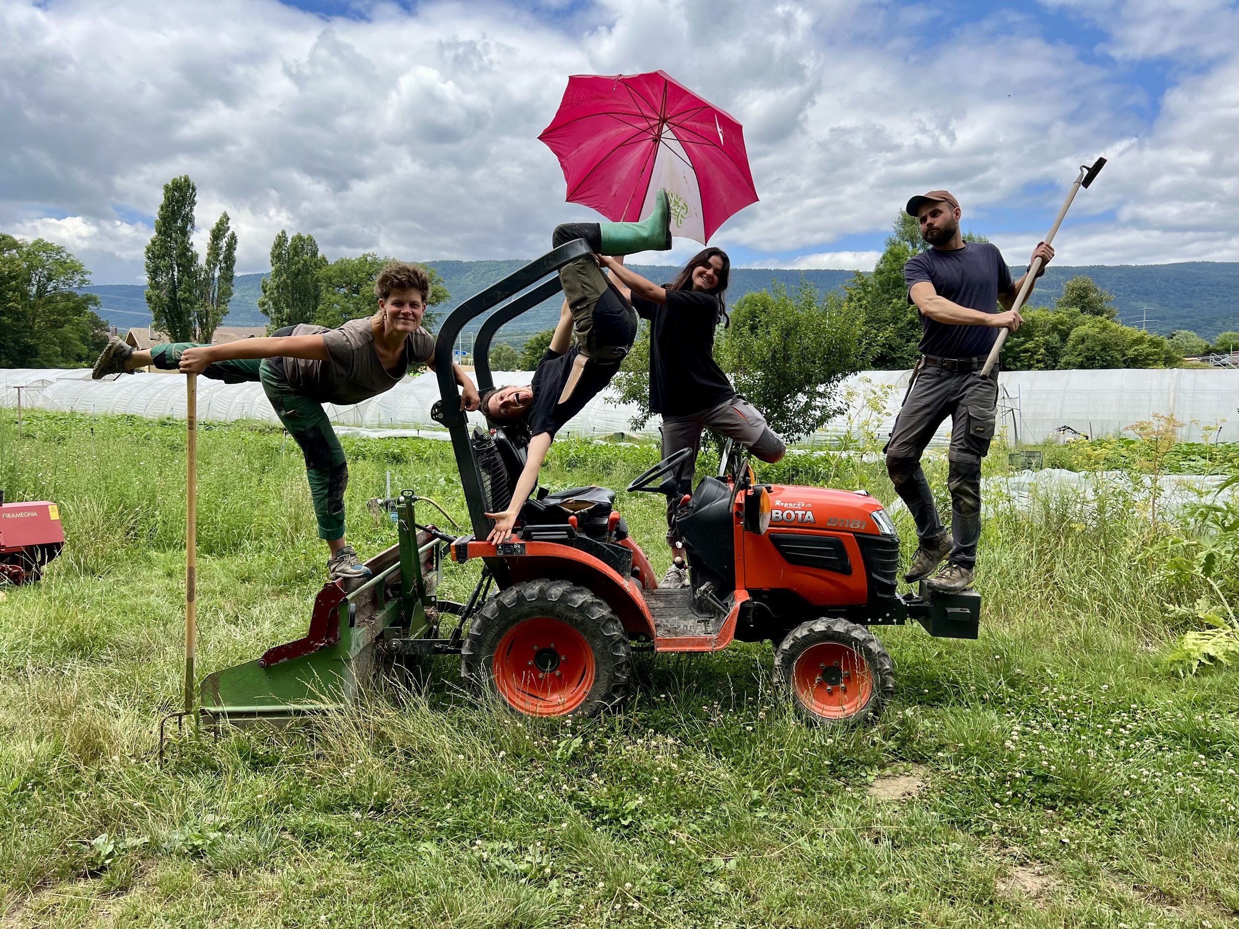 Équipe de Rage de Vert dans les champs